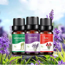 Essência Aromática Zaphyra